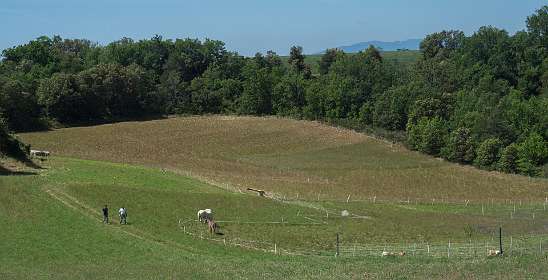 10: 160608-112818_Valensole