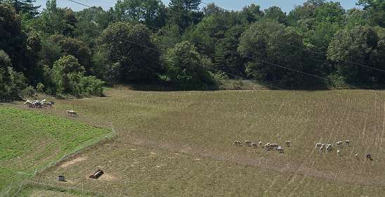 11: 160608-113009_Valensole