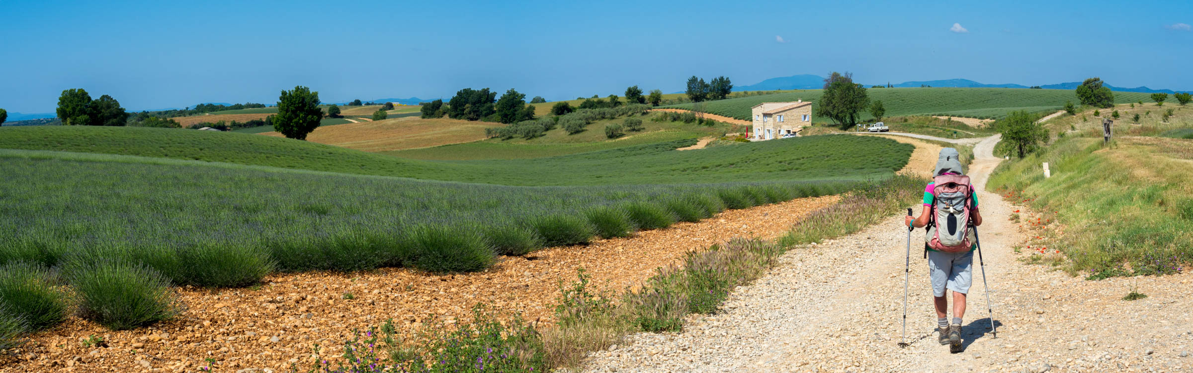 Klik om de knoppen te tonen of te verbergen