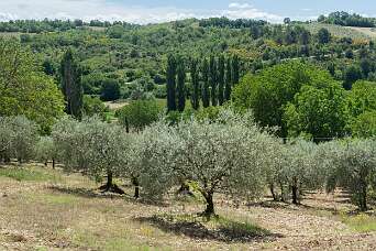 Het Ravijn van St. Jean