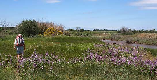 19: Marseillan_120523_12
