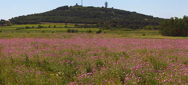 20: Marseillan_120523_13