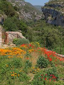 25: Minerve_120525_25