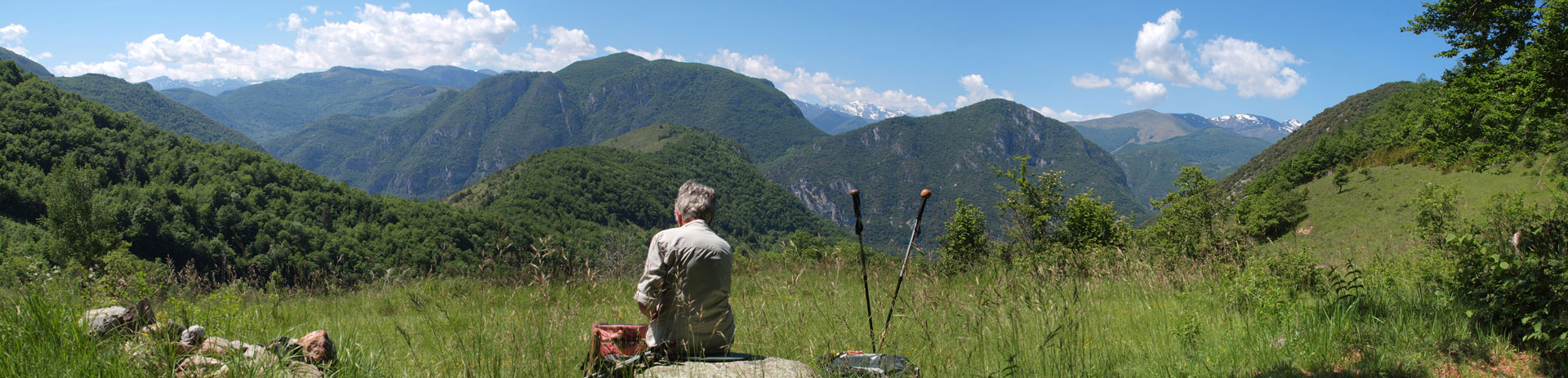 Klik om de knoppen te tonen of te verbergen