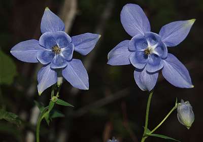 5: Tarascon_120529_03