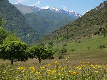 19: Tarascon_120529_17