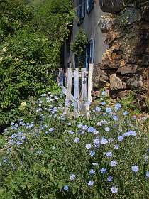 10: Vicdessos_120530_09