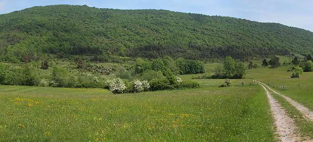 10: Genat_120531_07<br>Plateau de Génat