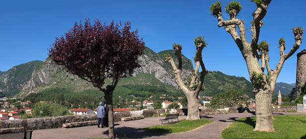 6: Tarascon_120601_01