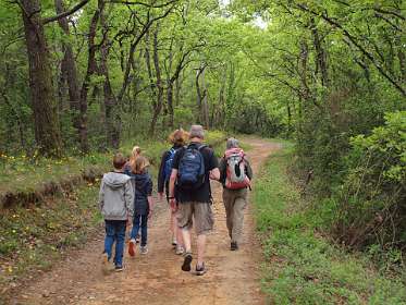 2: Mornas_130505_1033