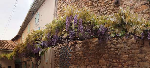 18: Mornas_130505_1215-3