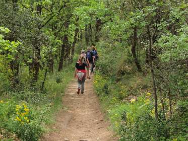 20: Mornas_130505_1233