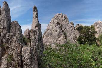 De Dentelles Sarrasines