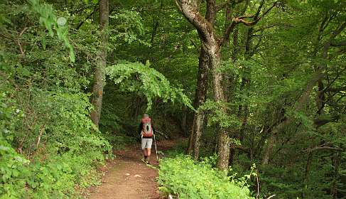 6: Barbiere_120604_05