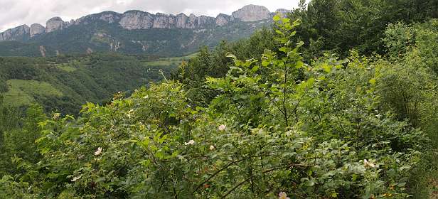 7: Barbiere_120604_06