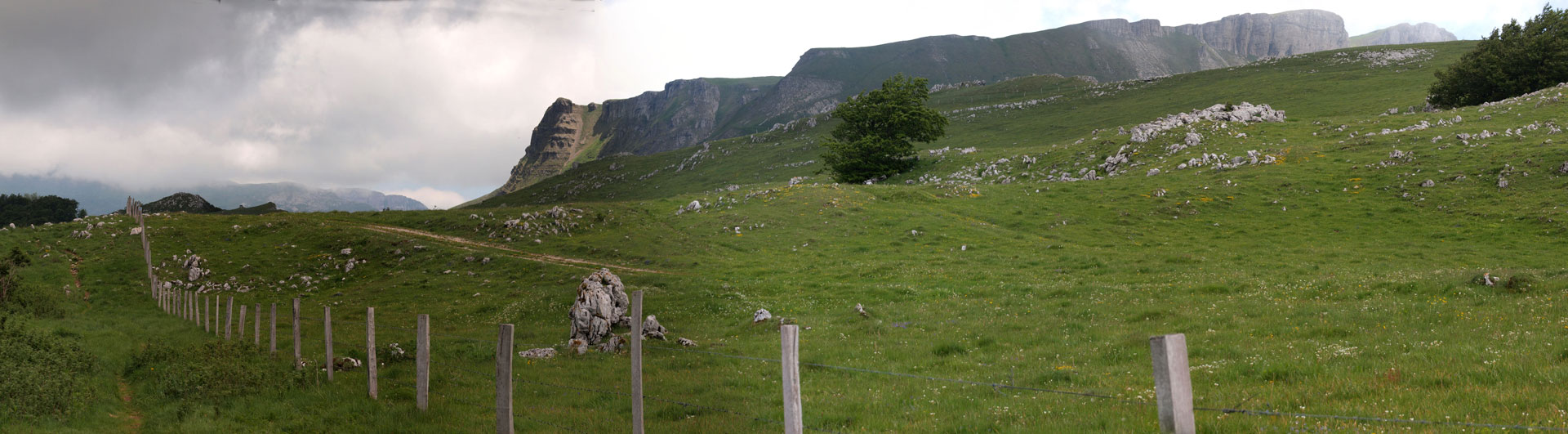 Klik om de knoppen te tonen of te verbergen