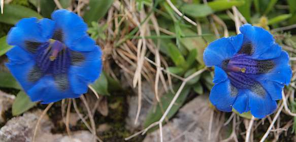 6: Vercors_120605_05