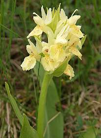 7: Vercors_120605_06