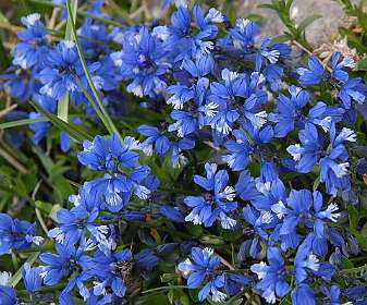 9: Vercors_120605_08