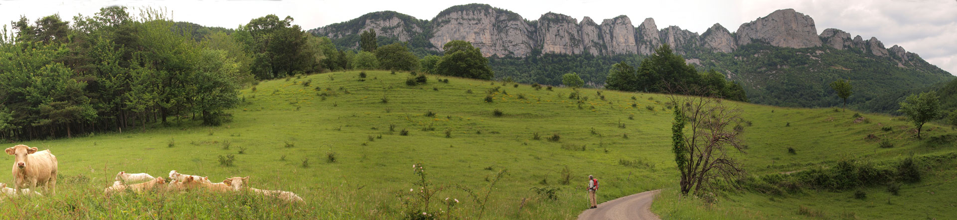 Klik om de knoppen te tonen of te verbergen