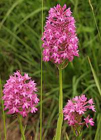 6: Barbieres_120606_05