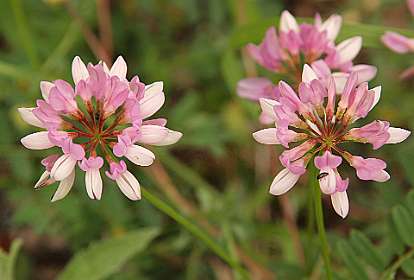 10: Barbieres_120606_09