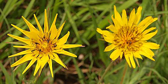 13: Barbieres_120606_12