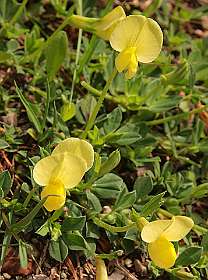 14: Barbieres_120606_13