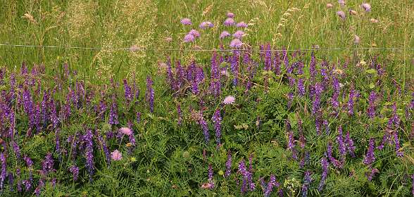 15: Barbieres_120606_14