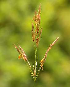 22: Barbieres_120606_21