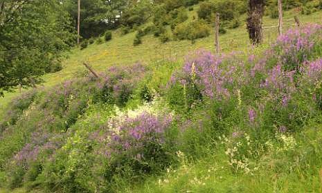 25: Barbieres_120606_24