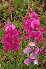 28: Barbieres_120606_27