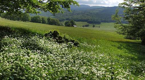 5: Plateau_Ambel_120607_04