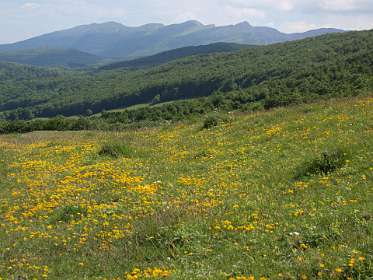 11: Plateau_Ambel_120607_10