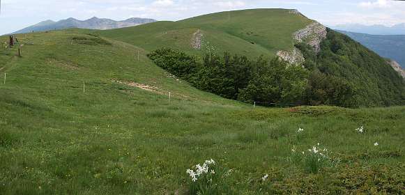 19: Plateau_Ambel_120607_18