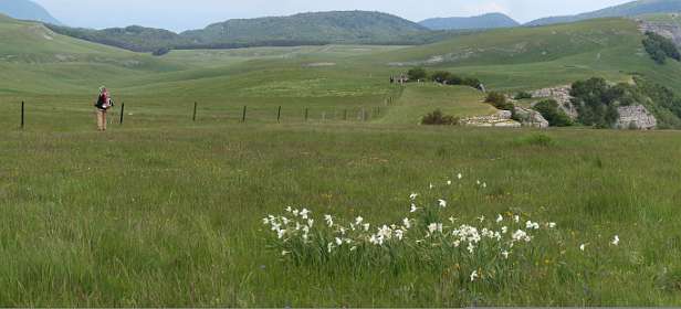 21: Plateau_Ambel_120607_20