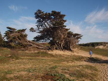 1: 10 14 05_0407<br>Duinen bij de camping Les Varennes