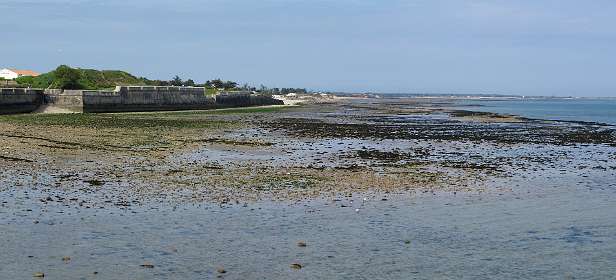 6: 10 15 05_0510_AP3