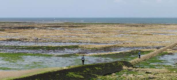 22: 10 16 05_0640_AP13