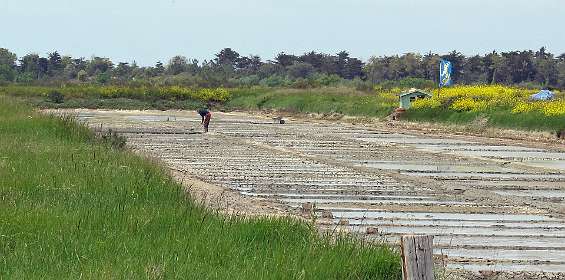 30: 10 16 05_0665<br>Zoutwinning