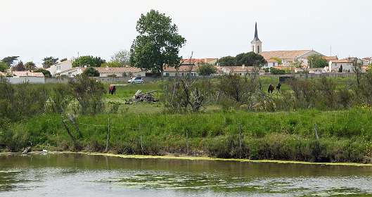 33: 10 16 05_0670<br>Saint Clément des Baleines