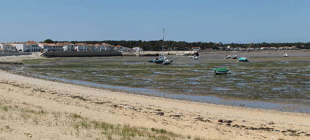 52: 10 17 05_0738_AP18