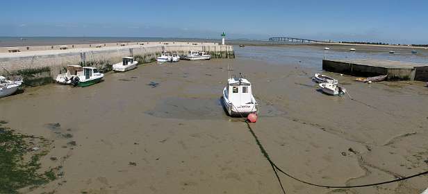 53: 10 17 05_0742_AP19