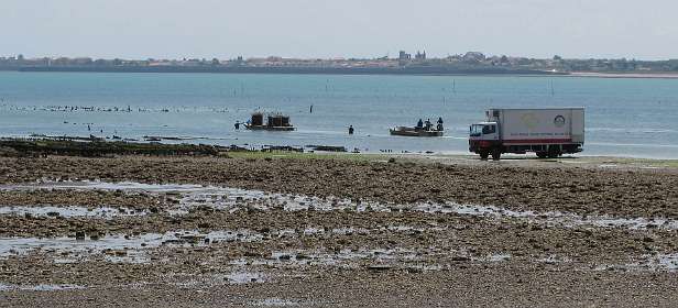 66: 10 18 05_0796<br>Pointe du Grouin, in de verte Saint Martin de Ré