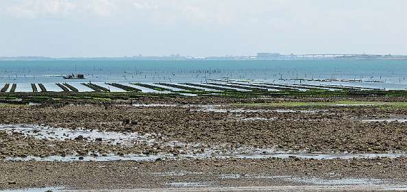 68: 10 18 05_0801<br>Oesterbanken voor Pointe du Grouin, in de verte de brug naar Ile de Ré