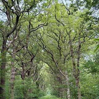 Nijemirdum-Rulgahuizen
