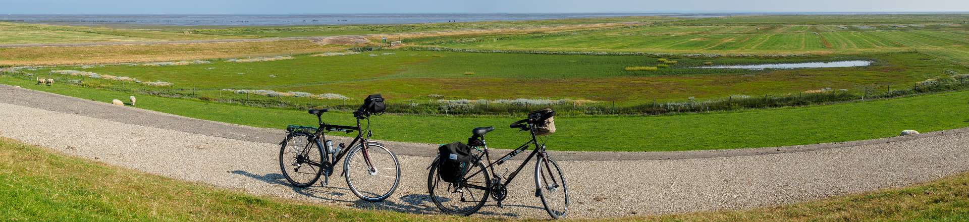 Klik om de knoppen te tonen of te verbergen