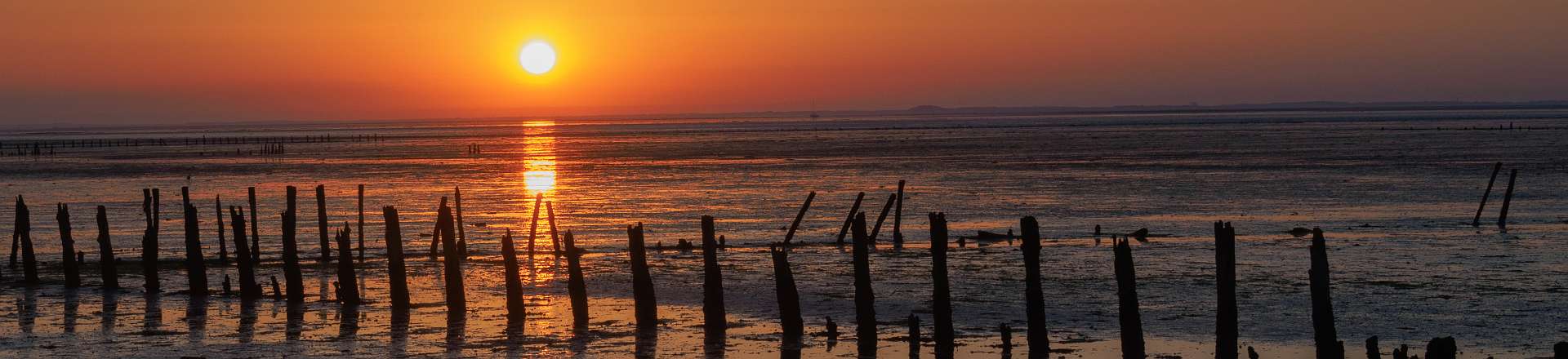 Klik om de knoppen te tonen of te verbergen