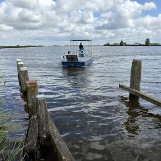 Rond Sandfirden