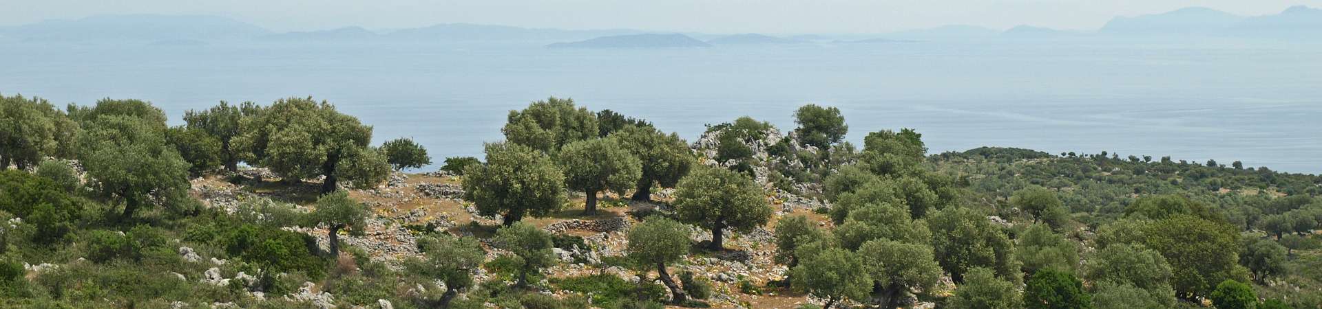 Klik om de knoppen te tonen of te verbergen